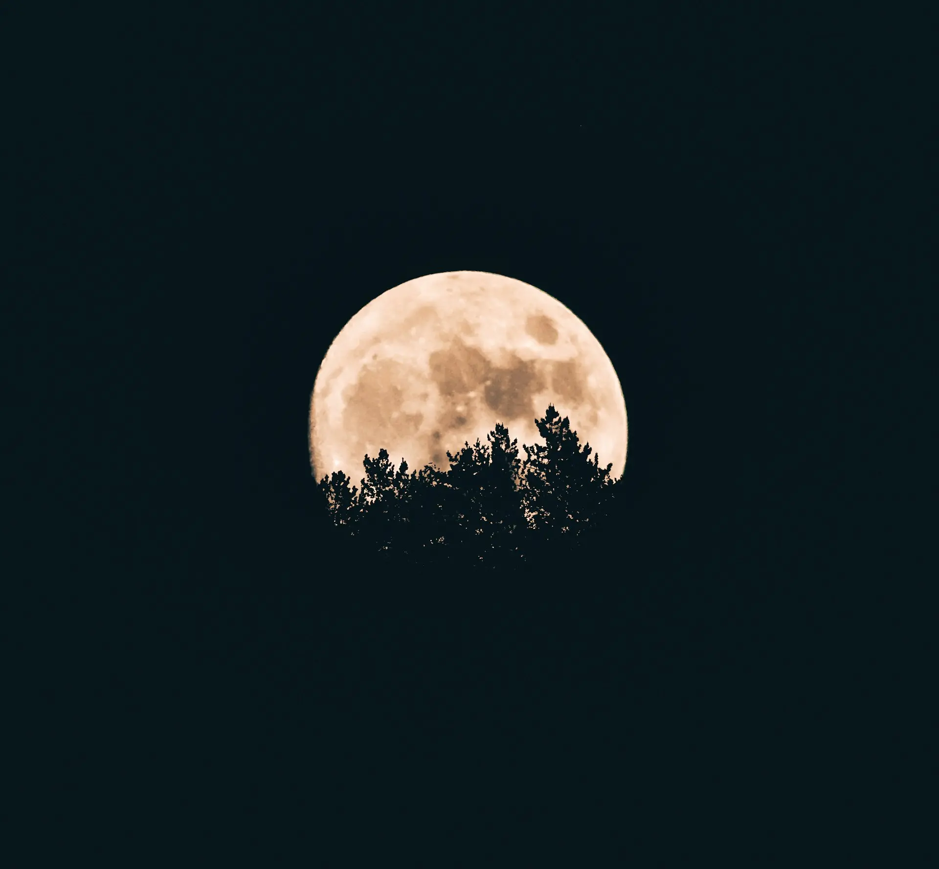 Lecturas astrológicas personalizadas, interpretación de Carta Natal, Revolución Solar y predicciones astrológicas, sesiones de astrología online, audios personalizados de astrología, conexión con el Universo a través de la astrología, autoconocimiento a través de la Carta Natal, crecimiento personal con astrología, mensajes del Universo y guía espiritual, análisis astrológico con herramientas prácticas, lecturas astrológicas para el autoconocimiento, conexión con la esencia a través de la astrología, descubre tu propósito con tu Carta Natal, sesiones de astrología online o audios personalizados, guía espiritual basada en la astrología